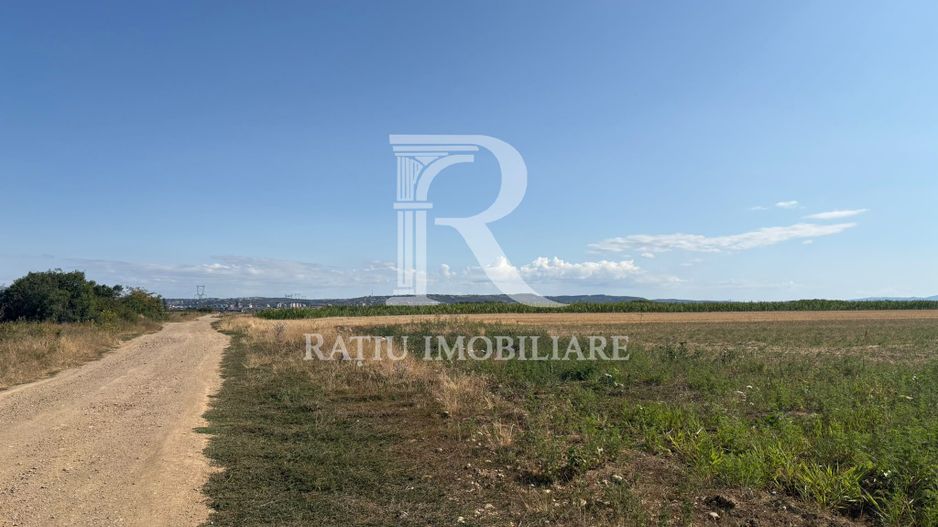 Teren intravilant |  11.955 mp | Cihei - Poză 1