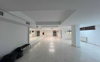 220 m2- studio dans de închiriat Sector 4, București - Poză 1