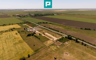 Business la cheie și 25.000 mp teren Arad-Oradea - Poză 12