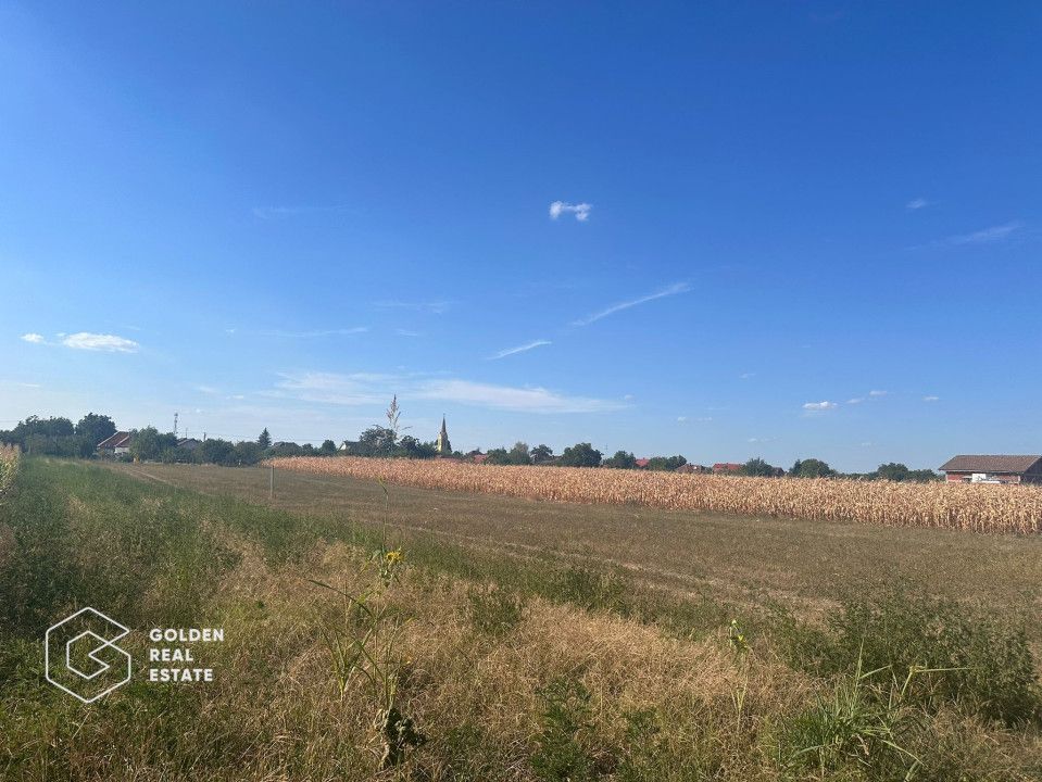 Teren intravilan, Zimandul Nou, posibilitate construire casa, 2200 mp - Poză 4