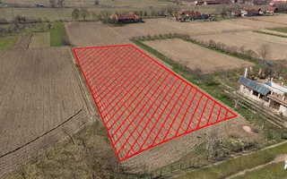 Loc de casă în Odvoș - Conop 3000mp - Poză 14