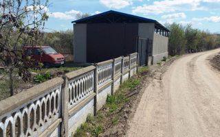 Casă cu hală industrială Drăguțești - Poză 2