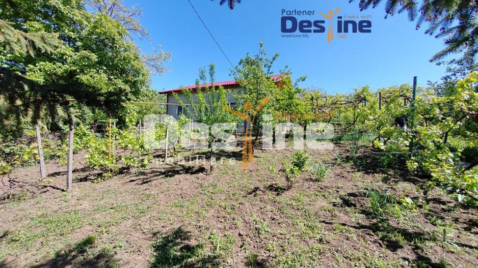 Casă individuală P+M, 164 mp utili + 1062 mp teren, COPOU - Poză 4