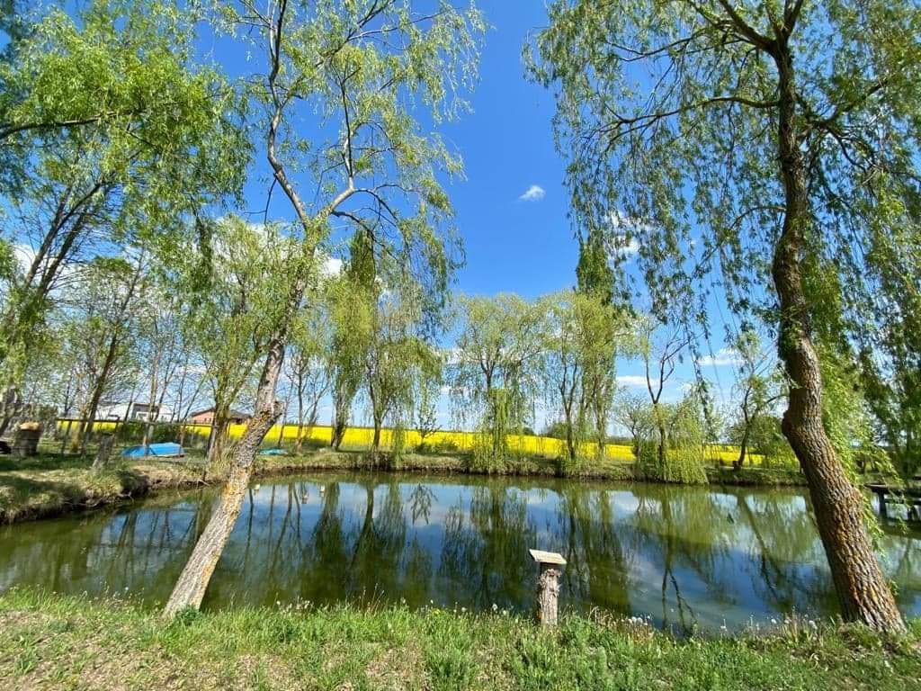 Vila individuala /proiect deosebit - Poză 11