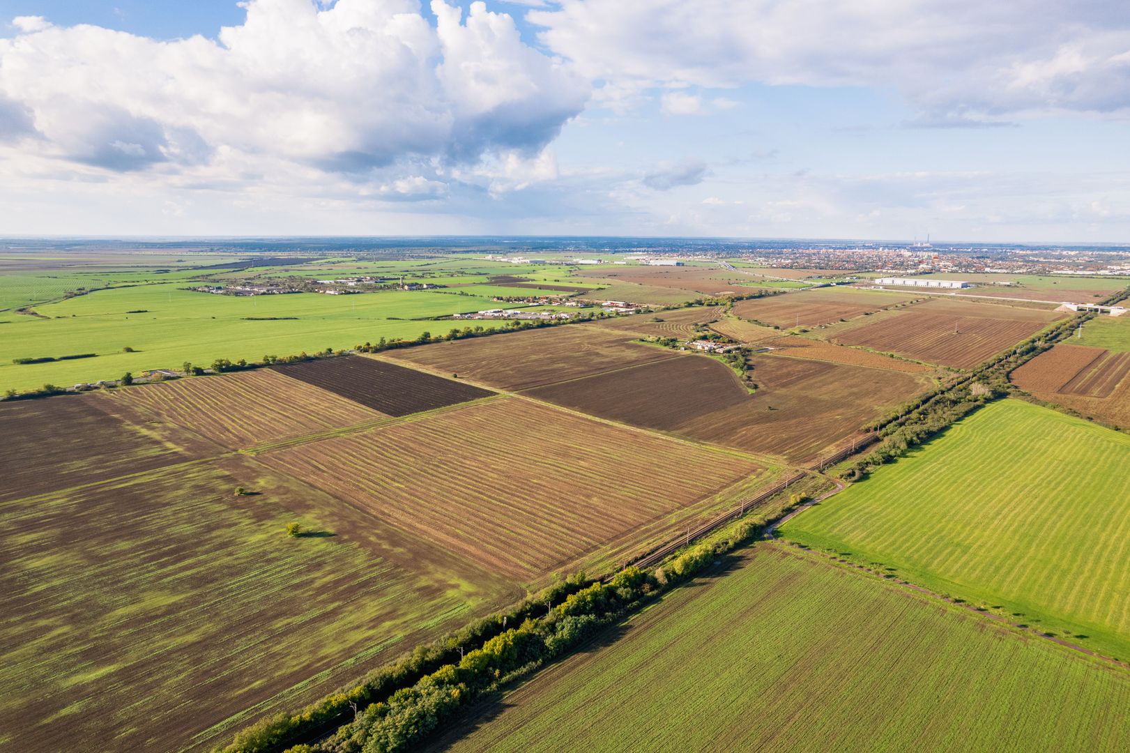 Teren de 100000 mp în Arad - Poză 4
