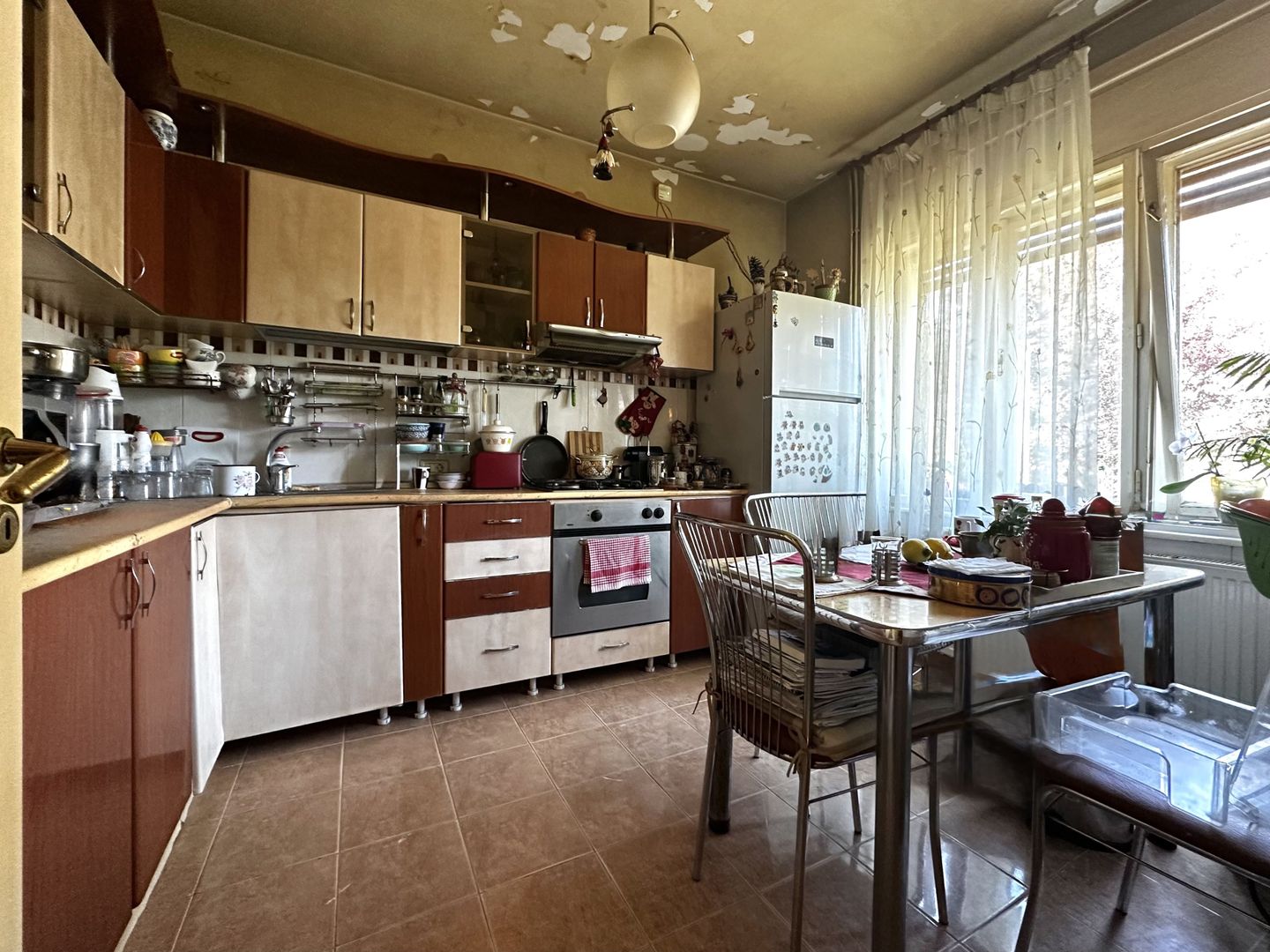 Duplex cu potențial real în Elisabetin – investiția care contează - Poză 11