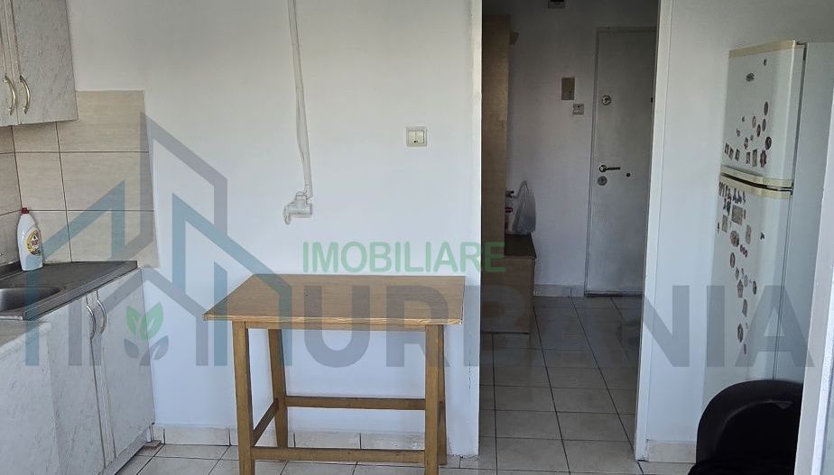 Apartament decomandat cu 1 cameră de închiriat – Păcurari, Alexandru cel Bun - Poză 8