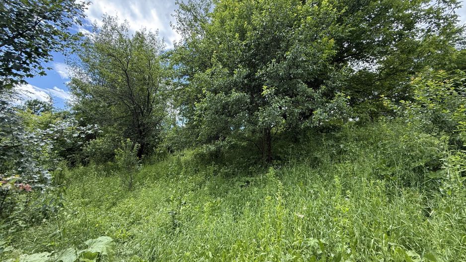 Teren intravilan 1859 mp Plaiu Provita de Sus la asfalt ! - Poză 8