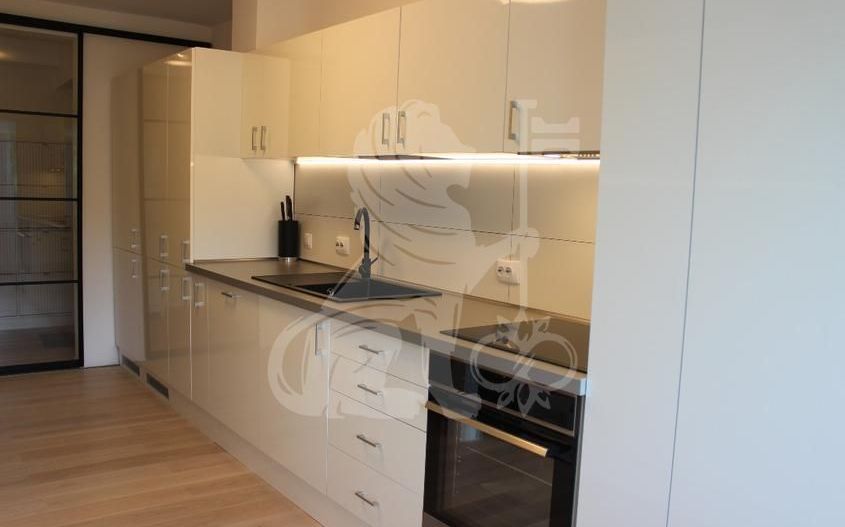 Apartament 3 Camere | Băneasa | Herăstrău - Poză 2