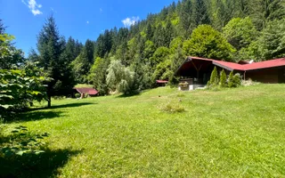 Proprietate deosebita de vanzare – Voinesița, Comuna Voineasa - Poză 11