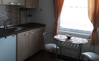Apartament la casa 1 camera | 40 MPU | Parter | Terezian - Poză 4