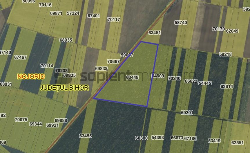 Teren arabil in Nojorid. Investiție sigură la preț excelent - Poză 1