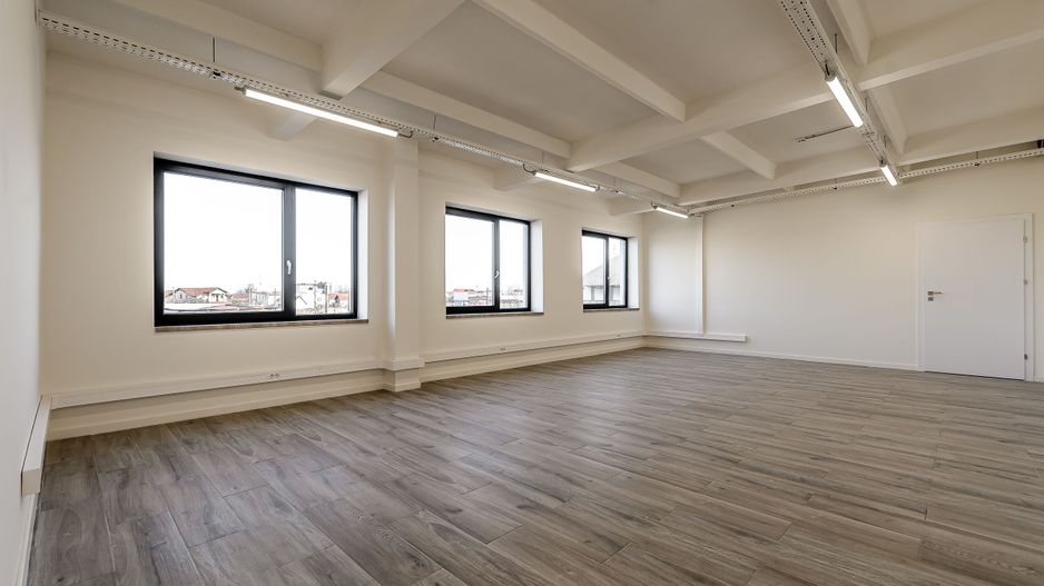 Birouri renovate de inchiriat în Poetului Business Park Arad - Poză 2