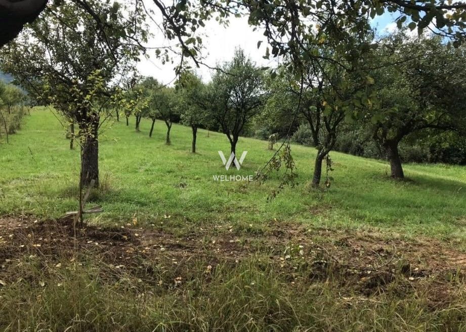 Teren extravilan - Sibiel, Sibiu - Poză 5