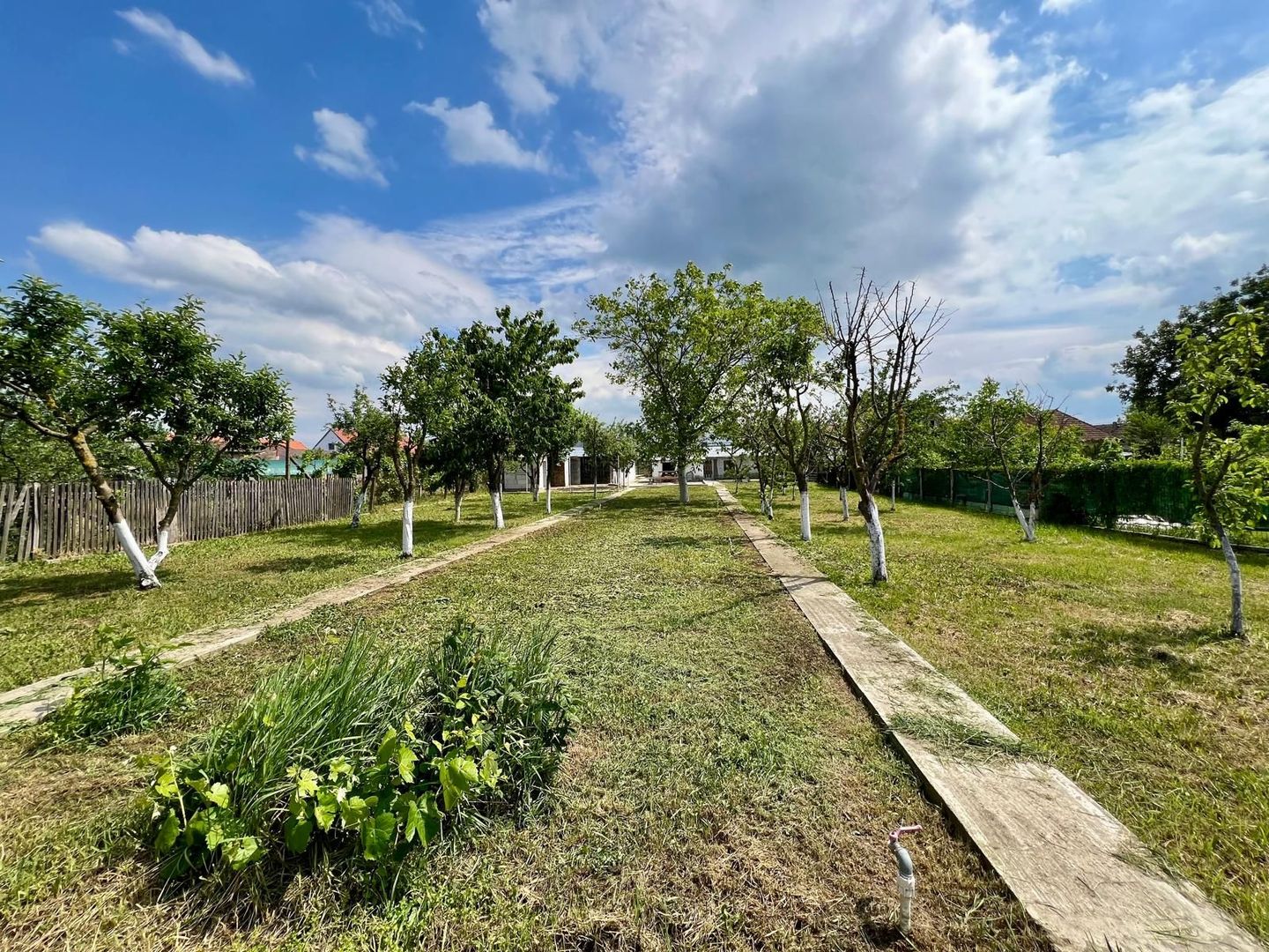 Casa cu curte si gradina de vanzare in Vinga COMISON 0% CUMPARATOR - Poză 52