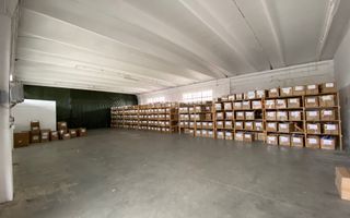 Hala 1.100 mp zona de S - Poză 5