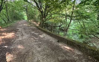 Teren Intravilan, în orașul Sebiș, Arad - Poză 9