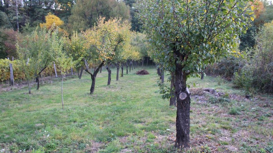 Casă cu suflet și priveliște de poveste – Crasna, Gorj - Poză 33