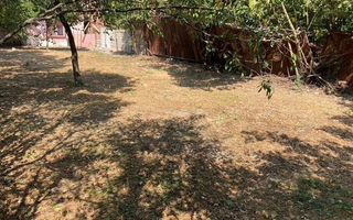 Casă veche pe teren de 540 mp, ideal pentru construcție, în Fratelia - Poză 6