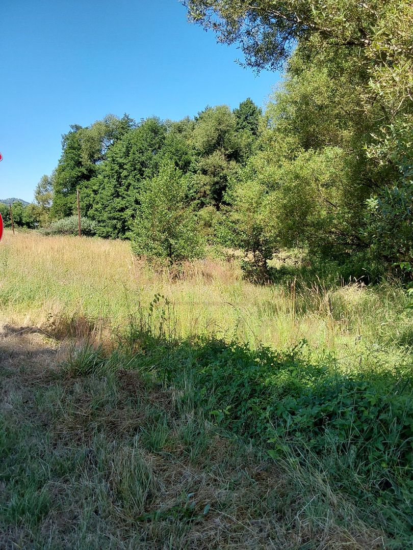 TEREN INTRAVILAN ÎN MARGA-LA DN68 JUD.CARAȘ-SEVERIN - Poză 4