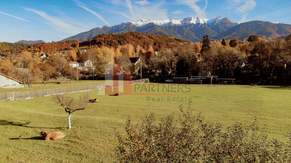 Teren 15.941 mp Moieciu | parcelabil | aproape de Castelul Bran - Poză 1