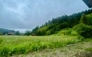 CASA LA ROSU | 12 ARI | SUCEVITA | LANGA PADURE - Poză 6