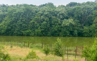 Teren Intravilan de vanzare 3778 mp Branesti Strada Violetelor - Poză 10
