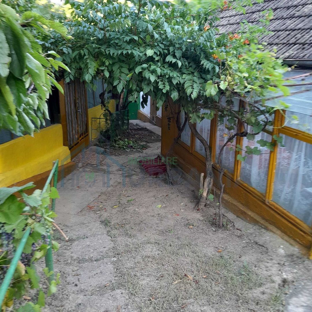 Gospodărie țărănească de vânzare în Cozia, jud. Iași - 2 clădiri, anexe și teren 6.700 mp - Poză 3
