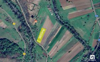 Teren 3600 mp Cheile Nerei - Optiune plata in transe! - Poză 8