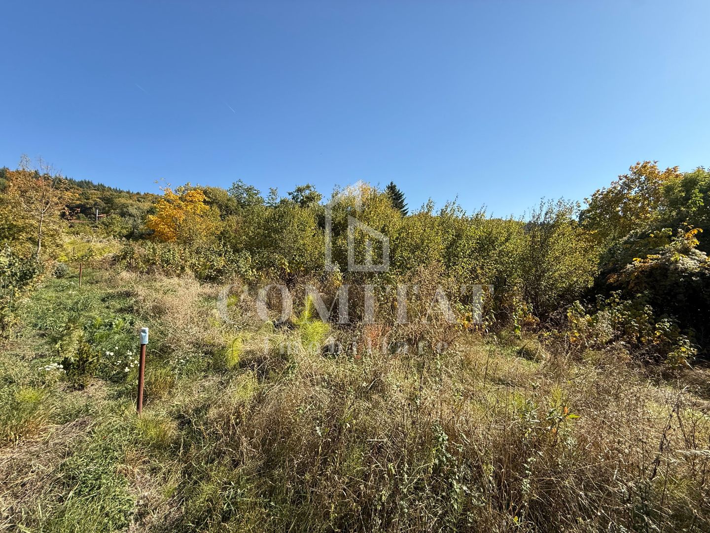 Teren intravilan Făget | 1.490 mp | Front 15 ml | Toate utilitățile - Poză 1