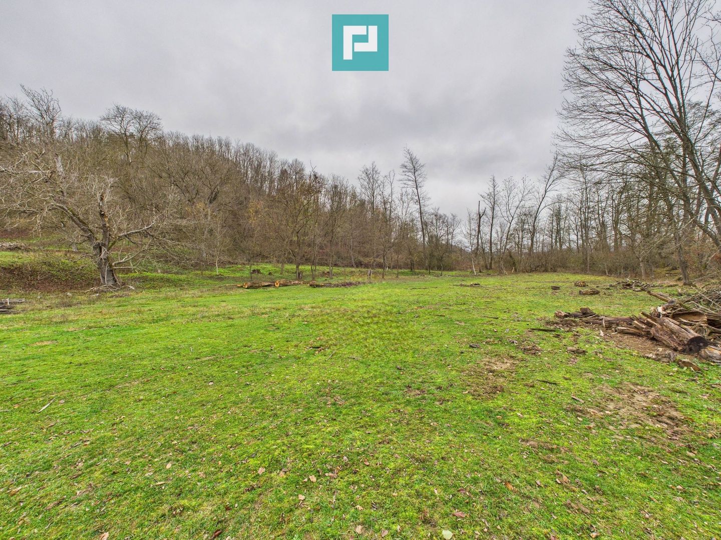 Casă cu teren de 24.679,73 mp, în Hălmagiu, Arad - Poză 30