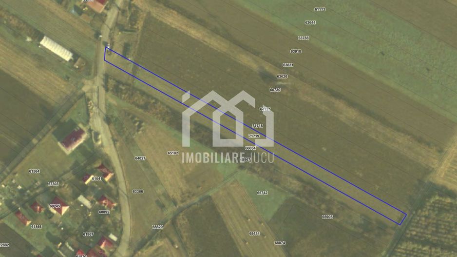 Teren Intravilan 2900mp - Jucu de Mijloc - Poză 3