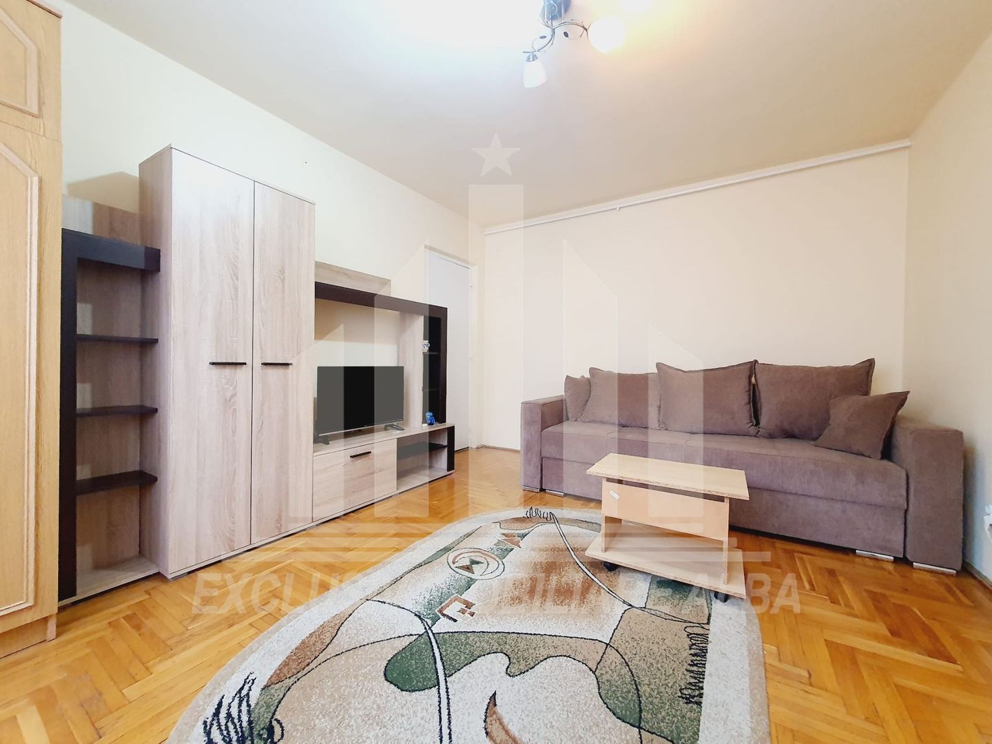 Apartament cu 1 camera de inchiriat, etajul 2, Cetate - Poză 4