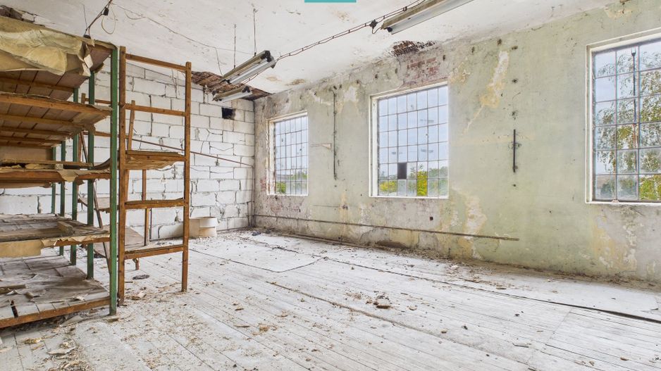 Spațiu versatil  250 mp de investiții în Periam - Poză 3