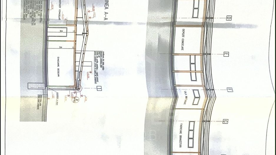 Hala de închiriat | Cristian - Poză 26