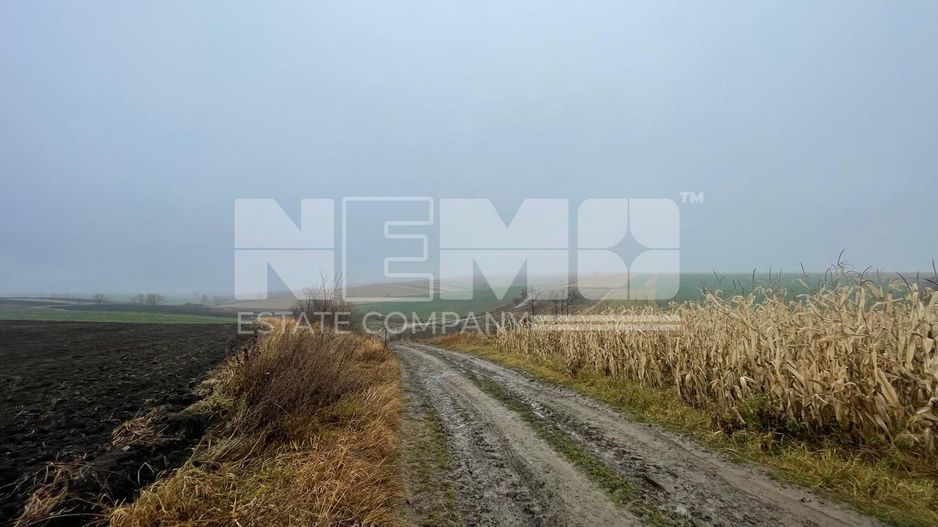 TEREN EXTRAVILAN | DOUA PARCELE 2.84 HA| IDEAL AGRICOL | DARMANESTI - Poză 14