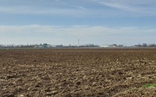 Teren 5,000mp Moara Vlasiei / Strada Morii - Poză 2