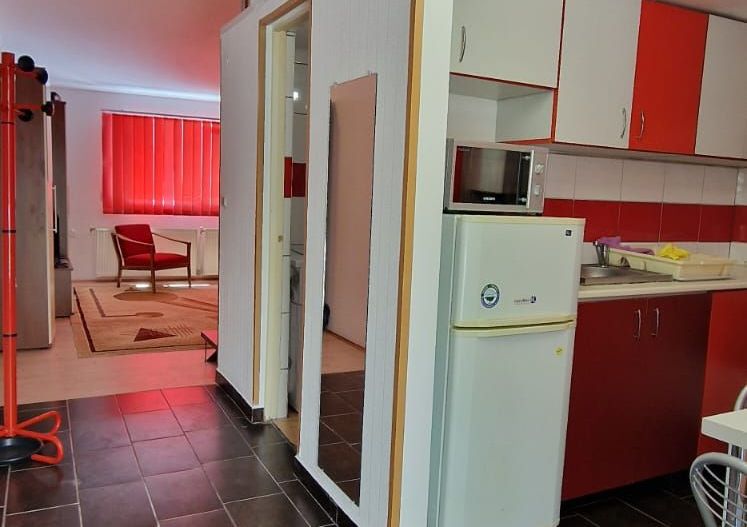 Apartament renovat cu o camera pe 2 nivele | Curte | Parcare | Grigorescu - Poză 10