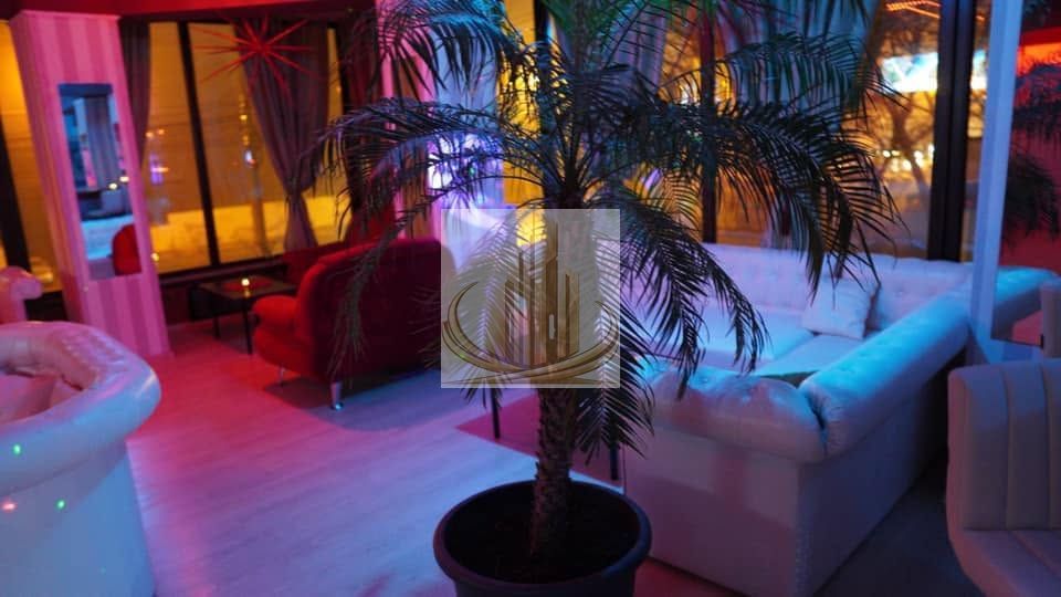 Investiție comercială 1.541 mp cu chiriași – Calea Aradului. - Poză 16