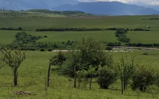 De vanzare, teren 11.500 mp – Dealul Dăii,  Vedere panoramică spre munți și lac - Poză 11