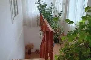 Casa Vladesti | Sat Priporu | 160 mpu | - Poză 2