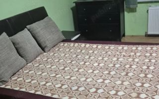 Casă individuală | 80 MPU | Centru | Pet friendly - Poză 2