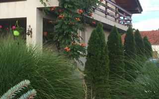 Proprietate cu potențial rezidențial și comercial | Comuna Pesac - Poză 9