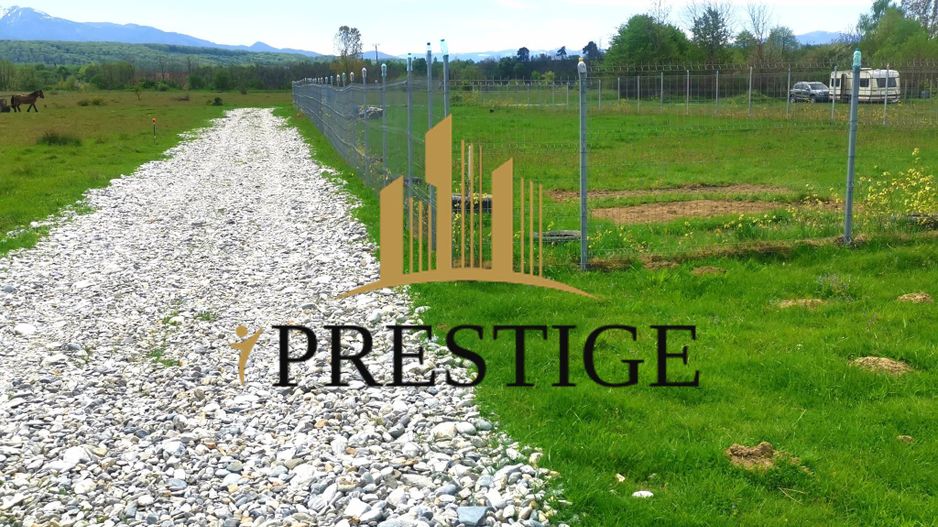 Teren Valea Avrigului – 1.000 mp | 1 km Dino Park | 25 €/mp - Poză 4