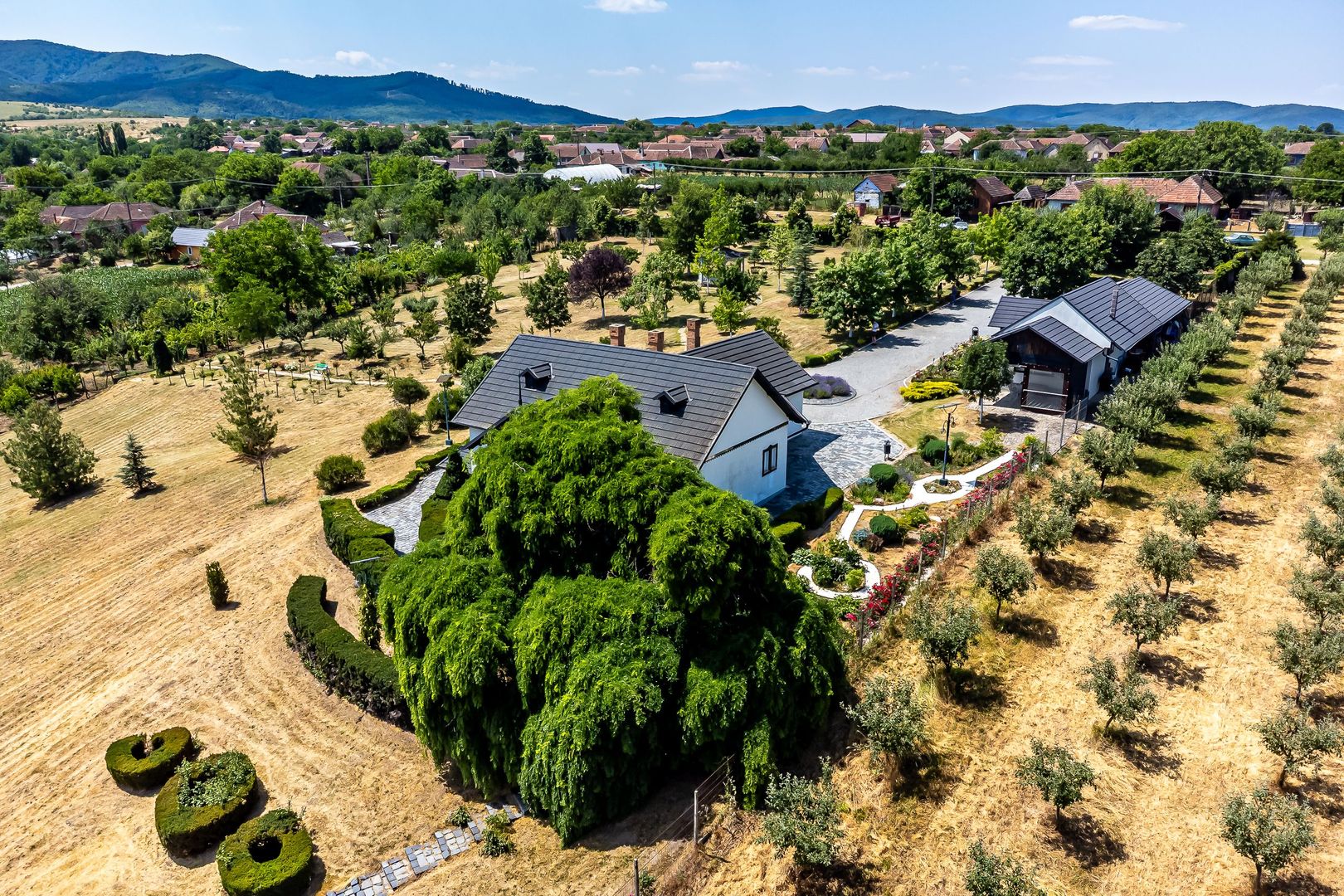 REZERVAT Visezi la o proprietate unică, plină de istorie și farmec? - Poză 2