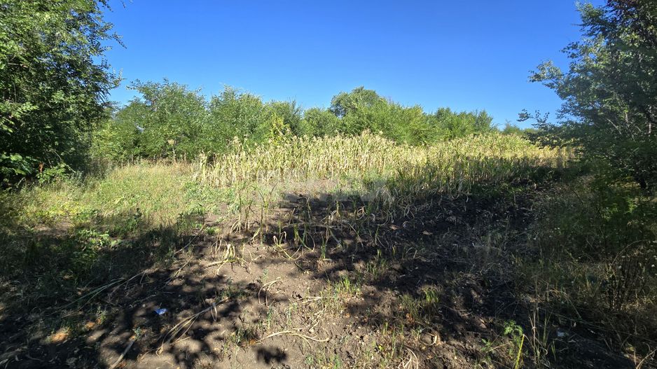 10 ari pentru construcții agroindustriale - Poză 7