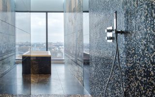 Triplex cu View Panoramic Herastrau Parc - Poză 9