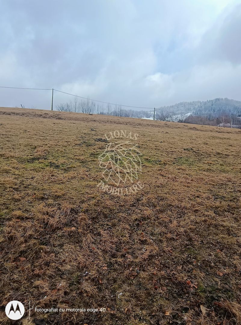 COMISION 0 TEREN TURISTIC EXTRAVILAN APROAPE DE PADURE VISAGU VLADEASA CLUJ - Poză 8