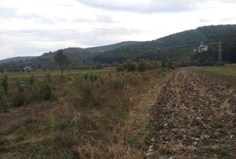 teren arabil Beclean judet Bistrita Nasaud - Poză 3