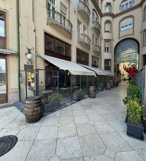 Chirie Ultra-central Oradea – spațiu HoReCa în Pasajul Vulturul Negru - Poză 4